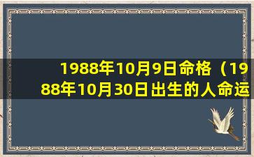 1988年10月9日命格（1988年10月30日出生的人命运）