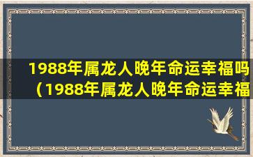 1988年属龙人晚年命运幸福吗（1988年属龙人晚年命运幸福吗男）