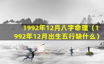 1992年12月八字命理（1992年12月出生五行缺什么）