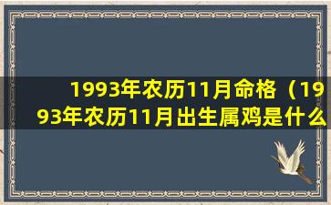 1993年农历11月命格（1993年农历11月出生属鸡是什么命）