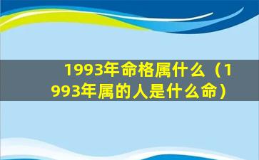 1993年命格属什么（1993年属的人是什么命）