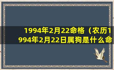 1994年2月22命格（农历1994年2月22日属狗是什么命）