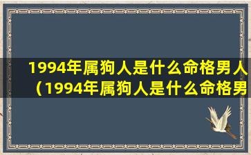 1994年属狗人是什么命格男人（1994年属狗人是什么命格男人婚姻）