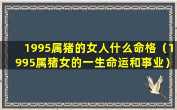 1995属猪的女人什么命格（1995属猪女的一生命运和事业）