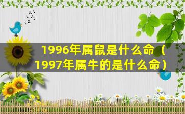 1996年属鼠是什么命（1997年属牛的是什么命）