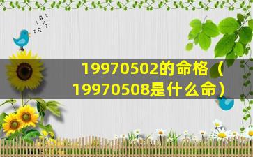 19970502的命格（19970508是什么命）