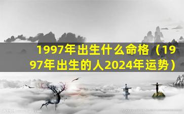 1997年出生什么命格（1997年出生的人2024年运势）