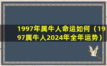 1997年属牛人命运如何（1997属牛人2024年全年运势）