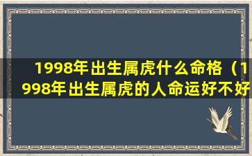 1998年出生属虎什么命格（1998年出生属虎的人命运好不好详细解析）