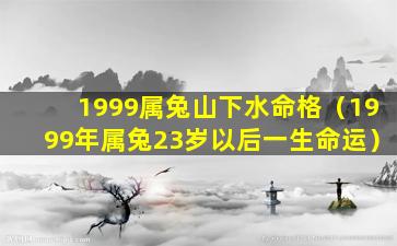 1999属兔山下水命格（1999年属兔23岁以后一生命运）