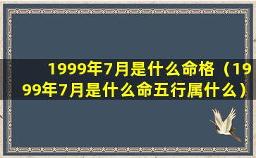 1999年7月是什么命格（1999年7月是什么命五行属什么）