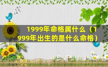 1999年命格属什么（1999年出生的是什么命格）