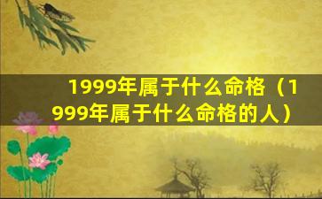 1999年属于什么命格（1999年属于什么命格的人）