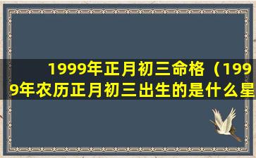 1999年正月初三命格（1999年农历正月初三出生的是什么星座）