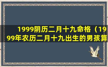 1999阴历二月十九命格（1999年农历二月十九出生的男孩算命）