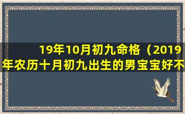 19年10月初九命格（2019年农历十月初九出生的男宝宝好不好）