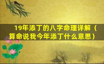 19年添丁的八字命理详解（算命说我今年添丁什么意思）