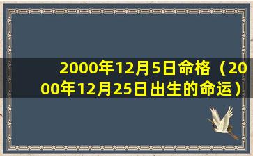 2000年12月5日命格（2000年12月25日出生的命运）