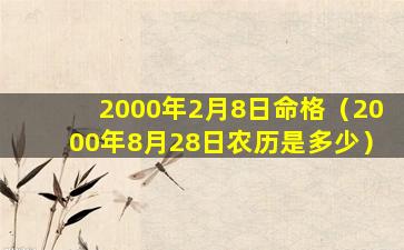 2000年2月8日命格（2000年8月28日农历是多少）