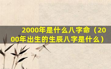 2000年是什么八字命（2000年出生的生辰八字是什么）