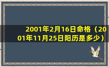 2001年2月16日命格（2001年11月25日阳历是多少）