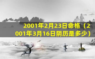 2001年2月23日命格（2001年3月16日阴历是多少）