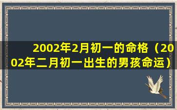 2002年2月初一的命格（2002年二月初一出生的男孩命运）