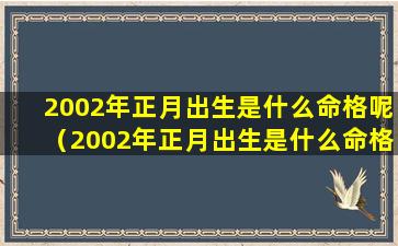 2002年正月出生是什么命格呢（2002年正月出生是什么命格呢女孩）