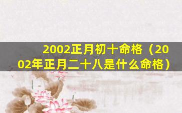 2002正月初十命格（2002年正月二十八是什么命格）