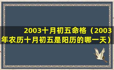 2003十月初五命格（2003年农历十月初五是阳历的哪一天）