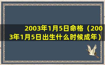 2003年1月5日命格（2003年1月5日出生什么时候成年）