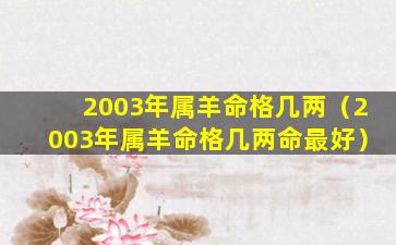 2003年属羊命格几两（2003年属羊命格几两命最好）