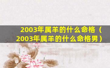 2003年属羊的什么命格（2003年属羊的什么命格男）