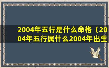 2004年五行是什么命格（2004年五行属什么2004年出生是什么命）