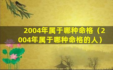 2004年属于哪种命格（2004年属于哪种命格的人）