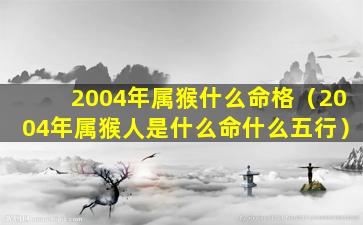 2004年属猴什么命格（2004年属猴人是什么命什么五行）