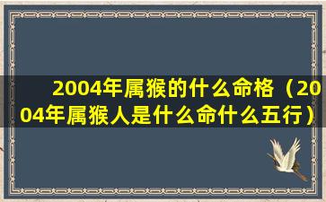 2004年属猴的什么命格（2004年属猴人是什么命什么五行）