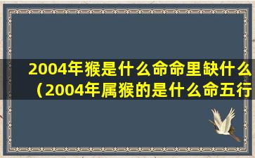 2004年猴是什么命命里缺什么（2004年属猴的是什么命五行缺什么）