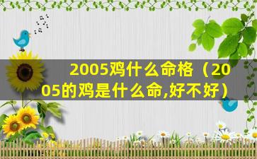 2005鸡什么命格（2005的鸡是什么命,好不好）