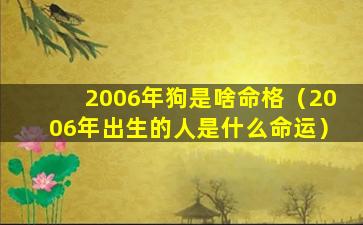 2006年狗是啥命格（2006年出生的人是什么命运）