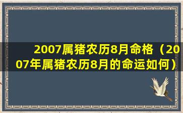 2007属猪农历8月命格（2007年属猪农历8月的命运如何）