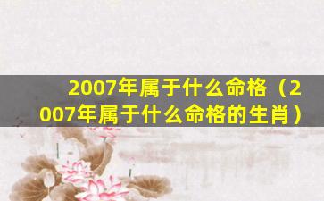 2007年属于什么命格（2007年属于什么命格的生肖）