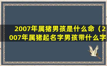 2007年属猪男孩是什么命（2007年属猪起名字男孩带什么字好）