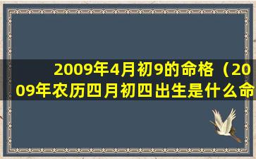 2009年4月初9的命格（2009年农历四月初四出生是什么命）