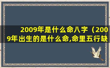 2009年是什么命八字（2009年出生的是什么命,命里五行缺什么）