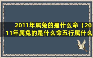 2011年属兔的是什么命（2011年属兔的是什么命五行属什么属性）