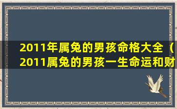 2011年属兔的男孩命格大全（2011属兔的男孩一生命运和财运怎么样）