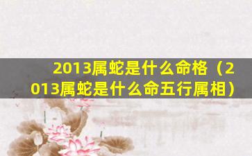 2013属蛇是什么命格（2013属蛇是什么命五行属相）