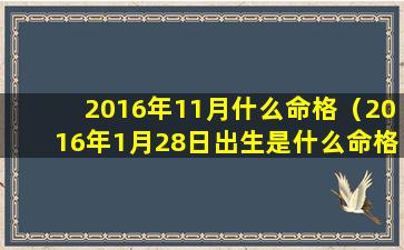 2016年11月什么命格（2016年1月28日出生是什么命格）