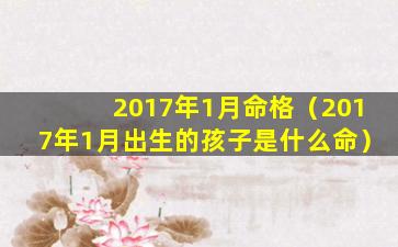 2017年1月命格（2017年1月出生的孩子是什么命）